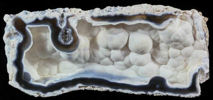 Agatized Fossil Coral Geode - Florida #51634